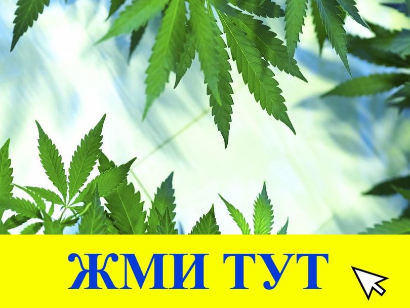 Купить наркотики в Кумертау